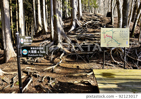 丹澤路阿澤丸大瀧峠 92123017