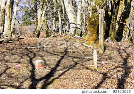 丹澤權現山山頂的三角測量點 丹澤權現山山頂的三角測量點 92123038