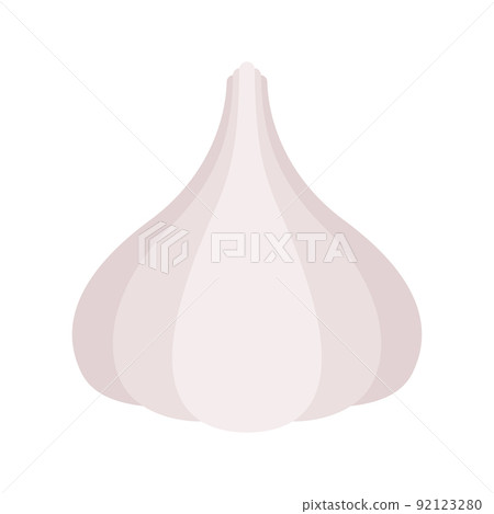 Garlic isolated on white background 92123280