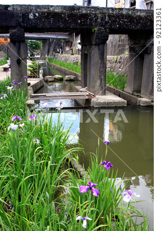 Takase Urakawa Iris Festival - Historic stone bridge, elegant scenery of stone walls and irises 92123361