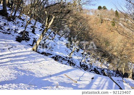 丹澤的邊室山,雪嶺上的邊室山垂直路線 丹澤的邊室山,雪嶺上的邊室山垂直路線 92123407