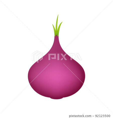 Red Onion isolated on white background 92123500