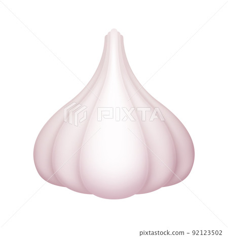 Garlic isolated on white background 92123502