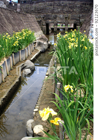高瀨浦川花菖蒲節 - 歷史悠久的石橋、石牆和花菖蒲的優雅景色 高瀨浦川花菖蒲節 - 歷史悠久的石橋、石牆和花菖蒲的優雅景色 92123670
