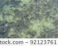 Shallow sea surface, see the limestone floor 92123761