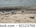 Waves along the beach clash with sand, gravel and sand. 92123766