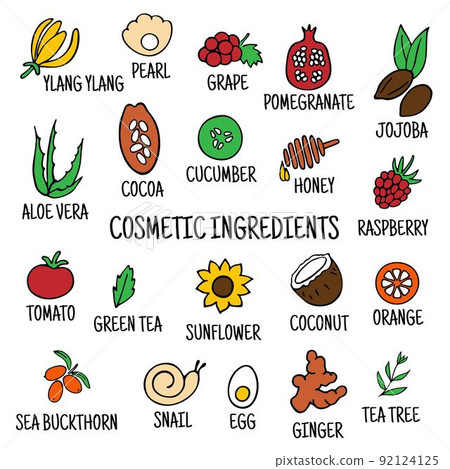 Hand-drawn plants flowers herbs fruits vegetables, oils. Cosmetic ingredients set. Vector collection of icons 92124125