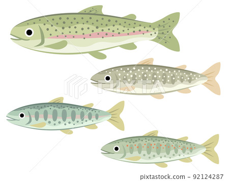 河魚的插圖集（虹鱒魚、紅點鮭、山梅鱒魚、amago） 92124287