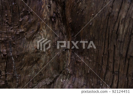 Surface of Osugi [Background image] 92124451