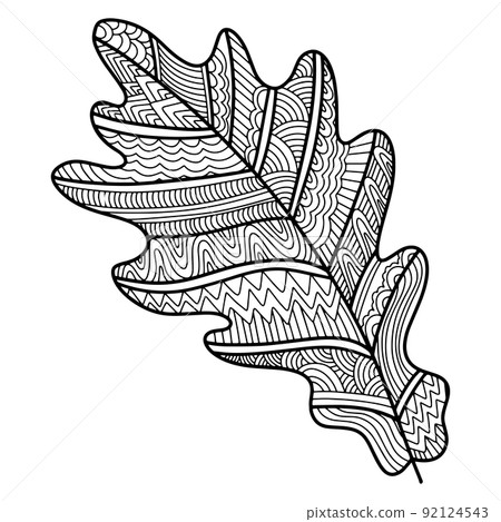 Vector zen tangle and doodle oak leaf. Nature coloring book. Black and white zentangle. Doodle handdrawn illustration 92124543