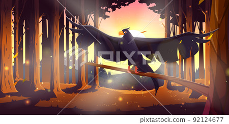 Coniferous forest with black raven at sunset 92124677