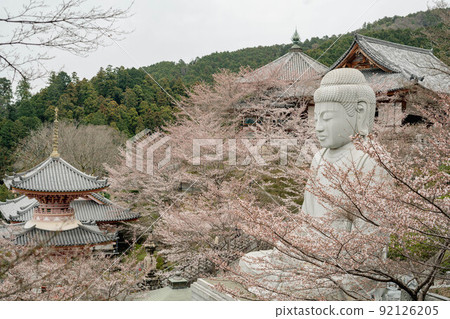 坪坂寺南法寺 坪坂寺南法寺 92126205