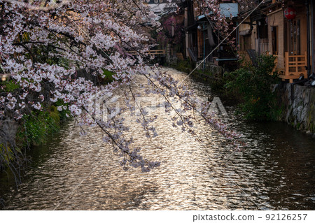 Shooting cherry blossoms in Higashiyama Gion Shirakawa, Kyoto city in spring 92126257