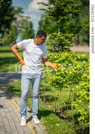 Guy touching foliage of tree seedling 92126462