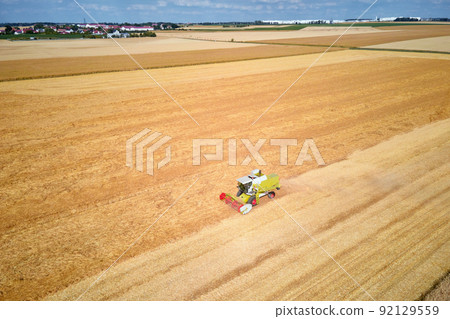 Combine harvester collecting golden wheat field, Harvesting machine working at agricultural field, Harvest reaping season Combine harvester collecting golden wheat field, Harvesting machine working at agricultural field, Harvest reaping season 92129559