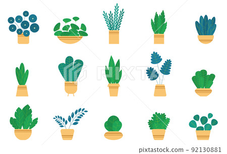 Set house plants and flowers in ceramic pots. Set house plants and flowers in ceramic pots. 92130881