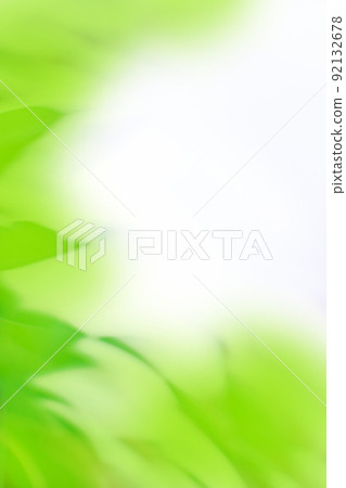 Abstract bokeh and blurred green nature background Abstract bokeh and blurred green nature background 92132678
