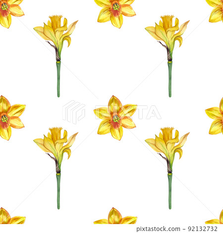 Seamless pattern with yellow daffodils. Suitable for the design of postcards, textiles, invitations and more. 92132732