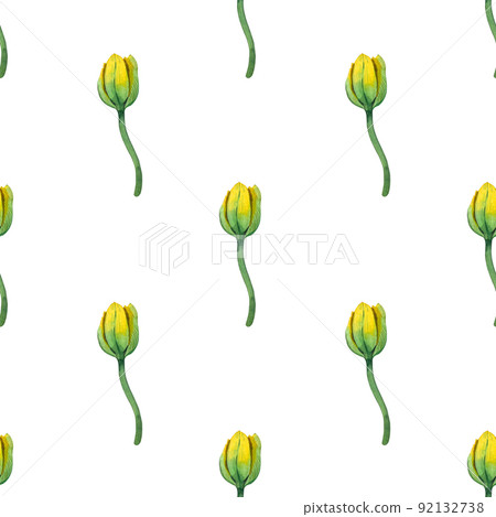 Seamless pattern of yellow watercolor tulips hand-painted in watercolor on a white background. Seamless pattern of yellow watercolor tulips hand-painted in watercolor on a white background. 92132738