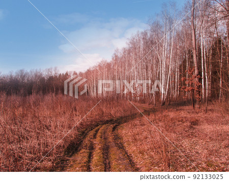 Autumn forest road. Beautiful morning in autumn forest Autumn forest road. Beautiful morning in autumn forest 92133025