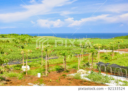 Okinawa scenery Okinawa scenery 92133524