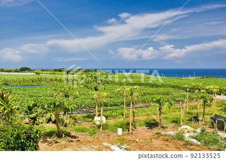 沖繩風光 92133525