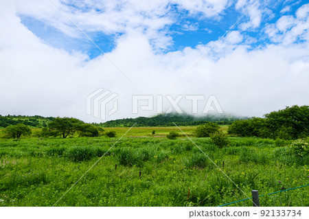 Shinshu / Kirigamine / Yashimagahara Marsh Shinshu / Kirigamine / Yashimagahara Marsh 92133734