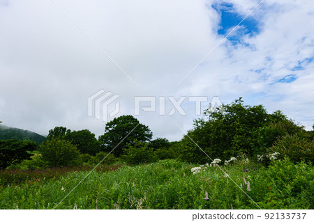 Shinshu / Kirigamine / Yashimagahara Marsh Shinshu / Kirigamine / Yashimagahara Marsh 92133737