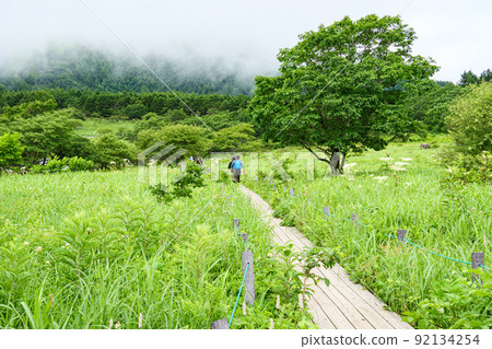 Hachijigahara Marsh Hachijigahara Marsh 92134254