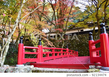 岐阜縣伊備川町橫倉寺入口處的紅橋和明亮的秋葉 岐阜縣伊備川町橫倉寺入口處的紅橋和明亮的秋葉 92134474