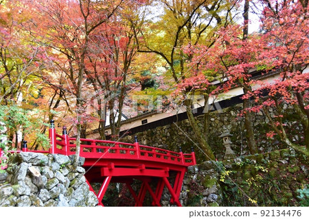 Red bridge and bright autumn leaves on the approach to Yokokuraji Temple in Ibigawa Town, Gifu Prefecture Red bridge and bright autumn leaves on the approach to Yokokuraji Temple in Ibigawa Town, Gifu Prefecture 92134476