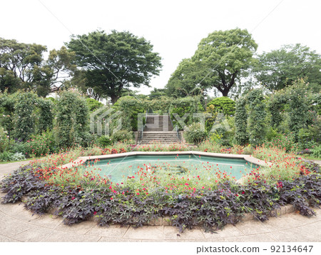 Hill park with a view of the harbor 92134647