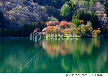 從長野縣的農具一側看到的春天櫻花的倒影風景 92136022