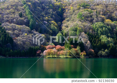 Reflection scenery of spring cherry blossoms seen from the farm tool side of Nagano Prefecture 92136030