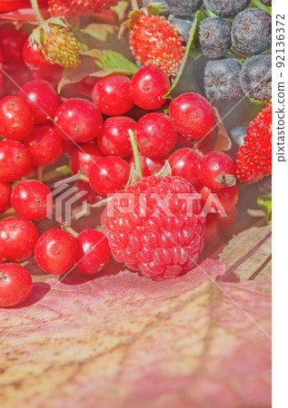 Delicious fruit and berry. Mixed fresh ripe berries 92136372