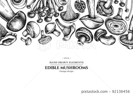 Design with black and white oyster mushroom, champignon, honey agaric, etc. 92136456