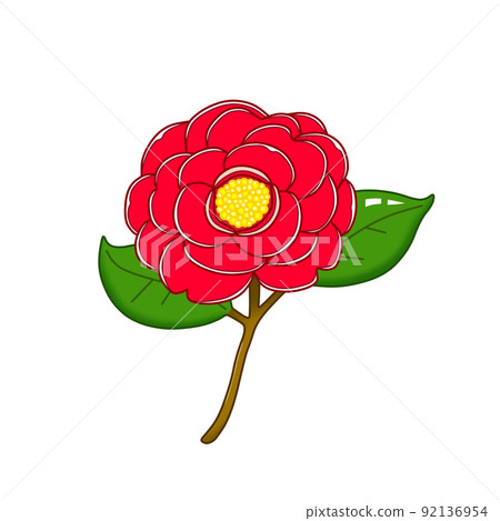 一朵紅花(重瓣,山茶花) 一朵紅花(重瓣,山茶花) 92136954