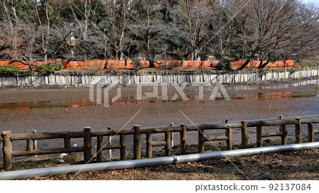 Inokashira Park Inokashira Pond Scraping (Kaibori) Inokashira Park Inokashira Pond Scraping (Kaibori) 92137084