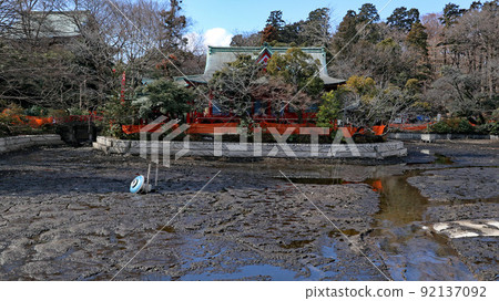 Inokashira Park Inokashira Pond Scraping (Kaibori) Inokashira Park Inokashira Pond Scraping (Kaibori) 92137092