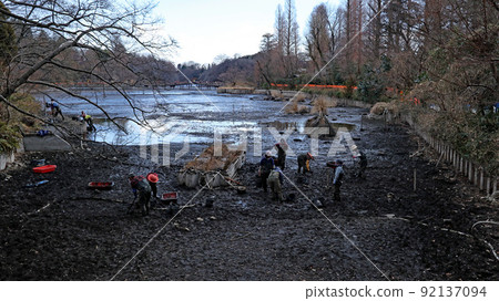 Inokashira Park Inokashira Pond Scraping (Kaibori) 92137094