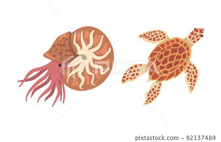 Oceanic and sea animals set. Shrimp, turtle marine inhabitants cartoon vector illustration 92137489