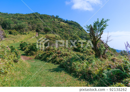 高原夏季灌木伊豆山山脊線人行道風光 高原夏季灌木伊豆山山脊線人行道風光 92138262