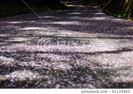 高峰～山路上的落花～ 92139468