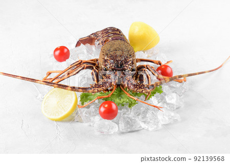 Fresh spiny lobster or sea crayfish on crash ice, common Mediterranean lobster on concrete gray background Fresh spiny lobster or sea crayfish on crash ice, common Mediterranean lobster on concrete gray background 92139568