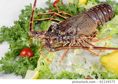 Fresh spiny lobster or sea crayfish with salad, tomatoes and lemon, preparation for cooking common Mediterranean lobster Fresh spiny lobster or sea crayfish with salad, tomatoes and lemon, preparation for cooking common Mediterranean lobster 92139575