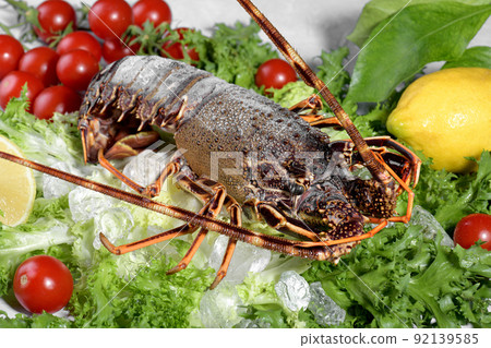 Fresh spiny lobster or sea crayfish with salad, tomatoes and lemon, preparation for cooking common Mediterranean lobster Fresh spiny lobster or sea crayfish with salad, tomatoes and lemon, preparation for cooking common Mediterranean lobster 92139585