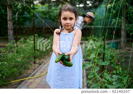 Beautiful child, cute little girl holding ripe cucumbers and helps her mother on harvesting vegetables in organic farm  92140207