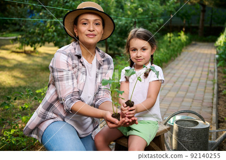Mother and daughter, farmers hold soil with growing cucumber seedlings in their hands. Family agribusiness, eco farming  92140255