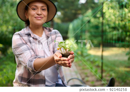 Female gardener's hands holding young cucumber seedling in dirt, against an eco vegetable garden background. Copy space  92140258