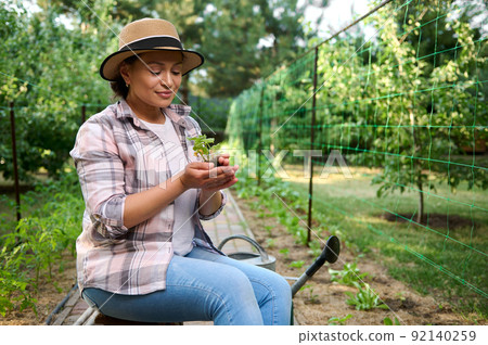 Farmer agronomist holds cucumber sapling, prepares it for planting in open ground in fertilized soil in organic farm  92140259